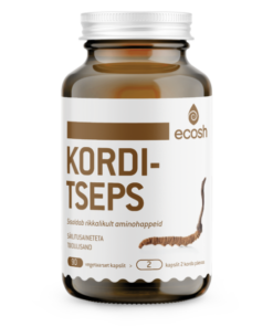 KORDITSEPS – Cordyceps sinensis